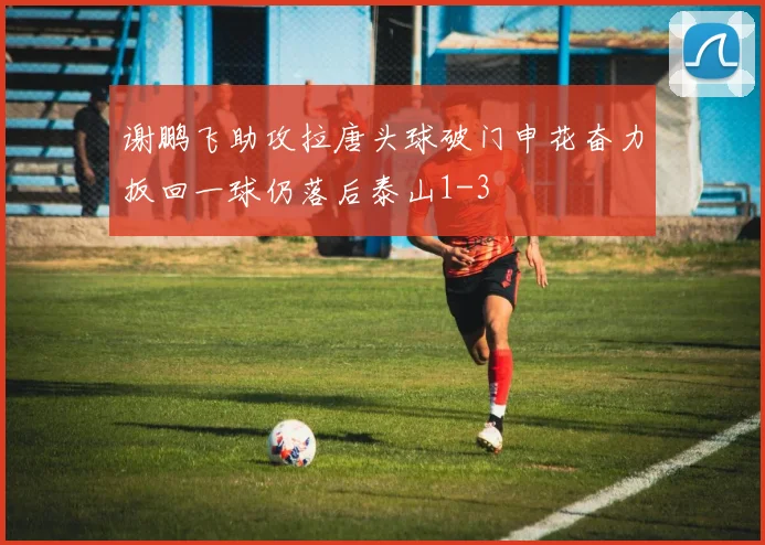 谢鹏飞助攻拉唐头球破门申花奋力扳回一球仍落后泰山1-3